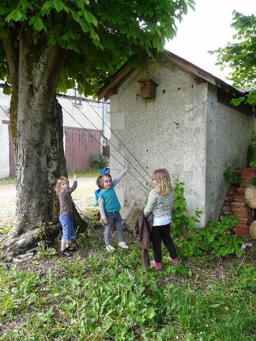 Nous avons vu le nichoir